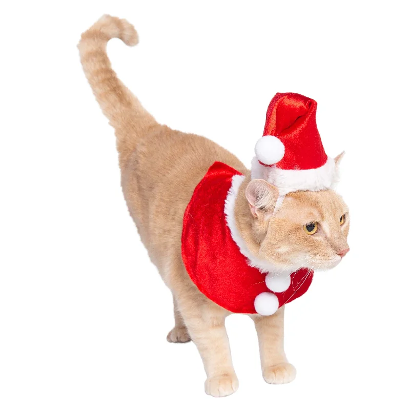 Santa Hat and Collar Cat Costume