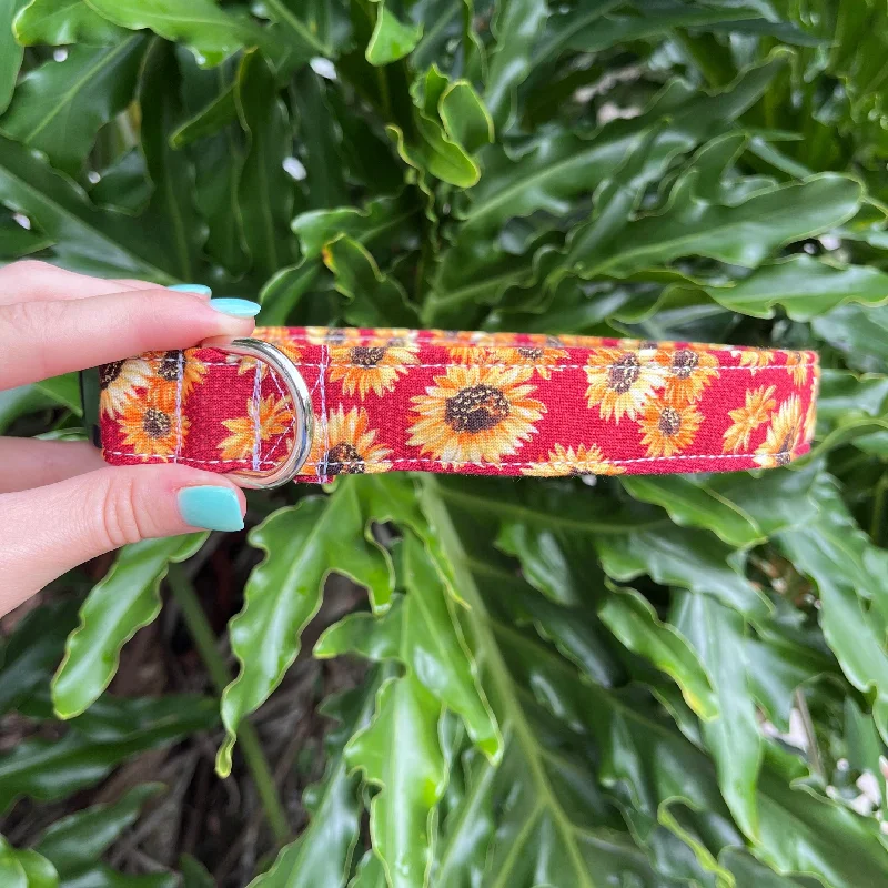 Sunflower Fields Dog Collar