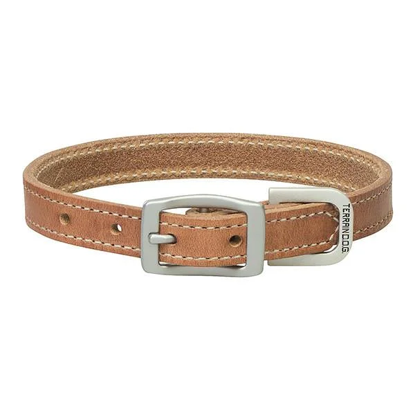 Terrain D.O.G. Harness Leather Dog Collar