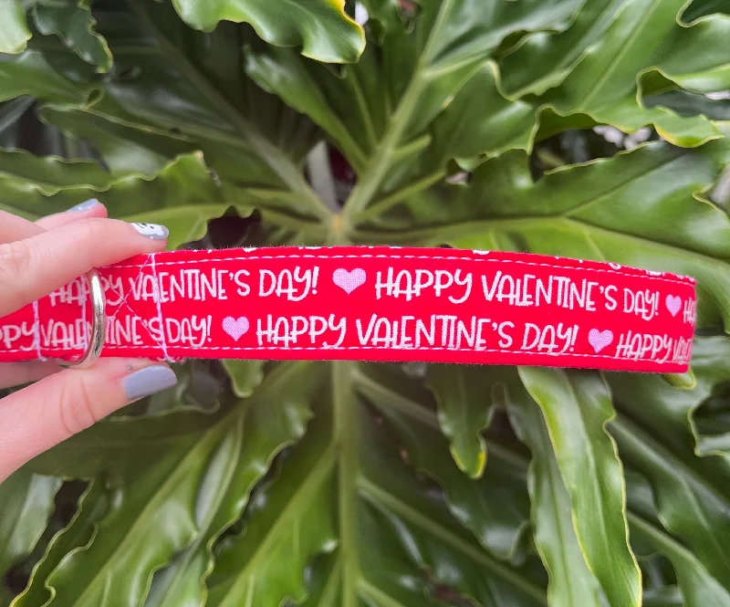 Valentine's Day Dog Collar