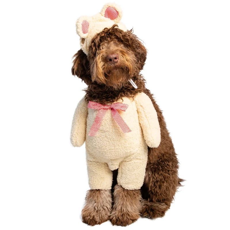 Walking Teddy Bear Dog Costume