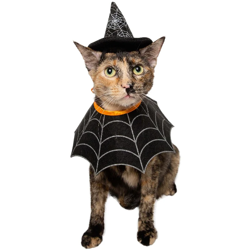 Witch Hat and Collar Set Cat Costume