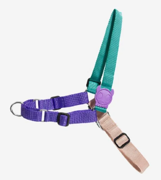 Zee.Dog Boogie Soft-Walk Dog Harness