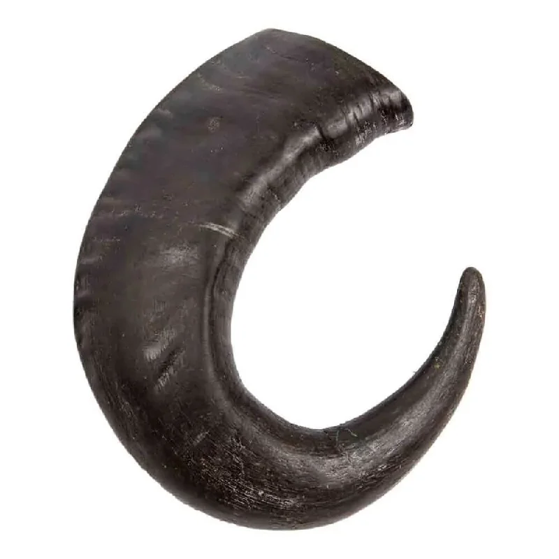 Buffalo Horn