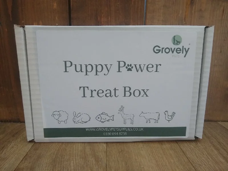 Puppy Power Treat Box